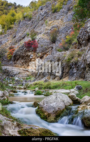 Incredibile Colore di autunno pallet di alberi in uno stretto canyon con mountain creek cascades Foto Stock