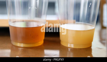 Davenport, Iowa, USA. 28 Sep, 2018. Ale finito sulla sinistra e direttamente dal serbatoio fermentatore sulla destra. Credito: Kevin E. Schmidt/Quad-City volte/ZUMA filo/Alamy Live News Foto Stock