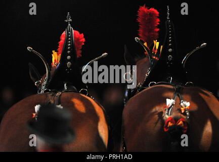 NEC Birmingham, UK. 3° OTT 2018. Unità musicale dei cavalli pesanti. Cavallo dell'anno mostra (HOYS). Il National Exhibition Centre (NEC). Birmingham. Regno Unito. 03/10/2018. Credito: Sport In immagini/Alamy Live News Foto Stock