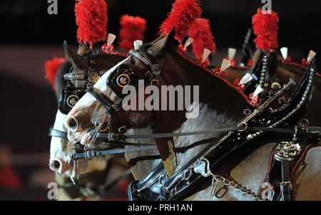 NEC Birmingham, UK. 3° OTT 2018. Il meraviglioso in ottone e cuoio cablaggi dei cavalli, unità musicale dei cavalli pesanti. Cavallo dell'anno mostra (HOYS). Il National Exhibition Centre (NEC). Birmingham. Regno Unito. 03/10/2018. Credito: Sport In immagini/Alamy Live News Foto Stock