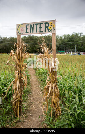 Un labirinto di mais in una fattoria in Mahwah,NJ Foto Stock