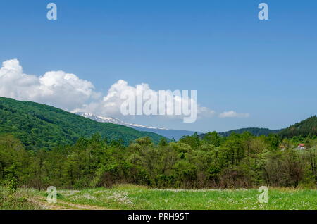 Verde primavera foresta, glade e valle fra Lozen montagna, Plana mountain e nevoso montagna Vitosha vicino al villaggio Pasarel, Bulgaria Foto Stock