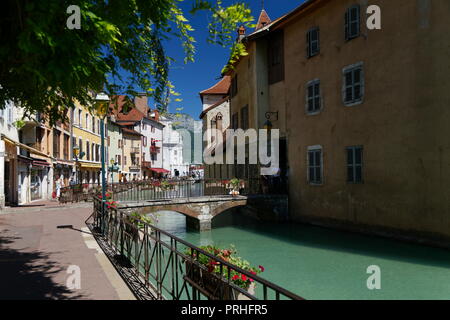 Negozi e caffetterie incorniciato attraverso la chioma sui canali di Annecy Francia Foto Stock