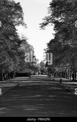 Bella e illuminato naturalmente le fotografie in bianco e nero di Ropner Park, un tradizionale il parco pubblico vittoriano in Stockton-on-Tees, Regno Unito all'inizio dell'autunno. Foto Stock