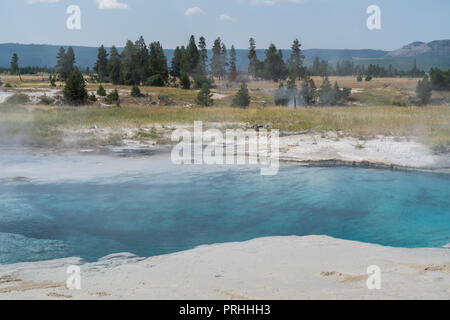 Off trail primavera calda nel Parco Nazionale di Yellowstone. Foto Stock