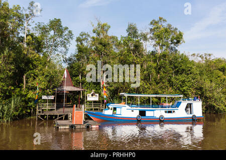 Klotok con turisti sul fiume Sekonyer, Tanjung messa National Park, Borneo, Indonesia. Foto Stock
