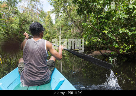 Guida locale in canoa sul fiume Sekonyer, Tanjung messa National Park, Borneo, Indonesia. Foto Stock