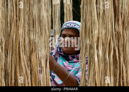 Una donna si asciuga le fibre di iuta a Modhukhali in Faridpur, Bangladesh. Foto Stock