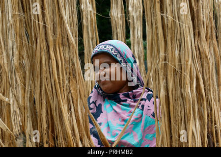 Una donna si asciuga le fibre di iuta a Modhukhali in Faridpur, Bangladesh. Foto Stock