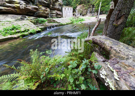 Dolský mlýn, řeka Kamenice, Jetřichovice, národni park České Švýcarsko, Česká republika / Dolsky mulino sul fiume Kamenice, Jetrichovice regione, Cz Foto Stock