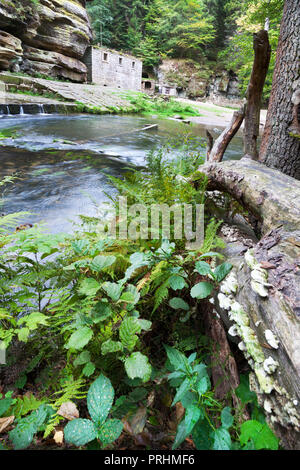 Dolský mlýn, řeka Kamenice, Jetřichovice, národni park České Švýcarsko, Česká republika / Dolsky mulino sul fiume Kamenice, Jetrichovice regione, Cz Foto Stock