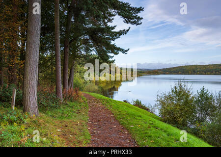 Vista panoramica dal percorso, di belle tranquillo tranquillo viale alberato di lago sotto il profondo blu del cielo - Fewston serbatoio, Washburn Valley, North Yorkshire, Inghilterra, Regno Unito. Foto Stock