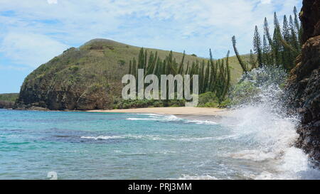 Spiaggia selvaggia con alberi di pino in Nuova Caledonia, Grande Terre isola, Bourail, South Pacific Oceania Foto Stock