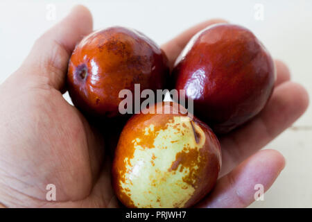 L'uomo azienda Jujube frutti (jujube bacche) aka red data, data Cinese, Coreano data (Ziziphus jujuba) Foto Stock