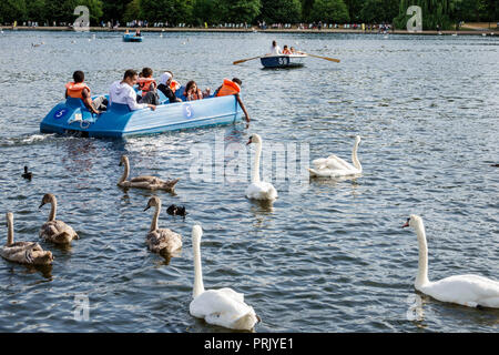 Londra Inghilterra,Parchi reali del Regno Unito,Hyde Park,spazio verde,il Serpentine,lago ricreativo,pedalò barca,uomini asiatici maschio,donna donna femmina donne,ragazza gir Foto Stock