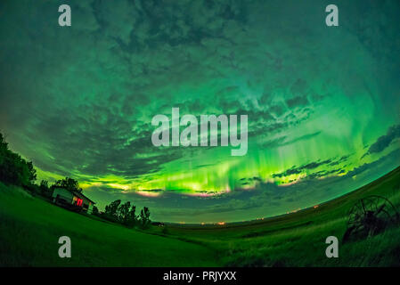 Il grande tutti-sky aurora della notte di maggio 27/28, 2017, girato da casa nel sud Alberta guardando a nord verso la auroral ovale. La tenda è ven Foto Stock