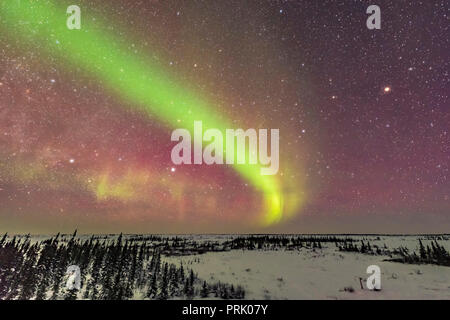 Una dim auroral arco sulla notte di febbraio 14/15 da Churchill Manitoba, con tre stelle luminose ben posizionato: da sinistra a destra - Deneb, Vega, Foto Stock