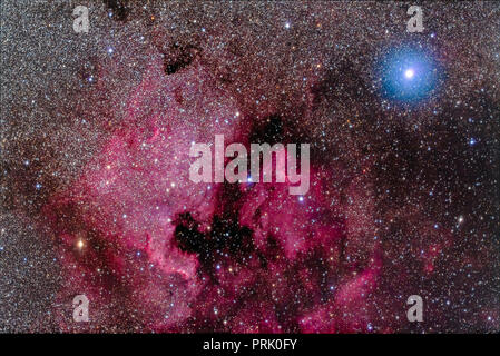 L'America del nord Nebula (NGC 7000) e associati nebulosità e star clusters, vicino la luminosa di colore bianco-blu star Deneb in Cygnus. Questa è con la S Foto Stock