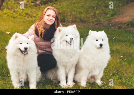 Felice Caucasian ragazza seduta con tre bianchi Samoiedo cani nel parco di autunno Foto Stock