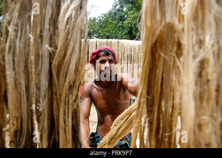 Un uomo si asciuga le fibre di iuta a Modhukhali in Faridpur, Bangladesh. Foto Stock