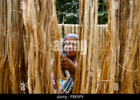 Una donna si asciuga le fibre di iuta a Modhukhali in Faridpur, Bangladesh. Foto Stock