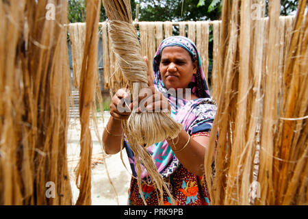 Una donna si asciuga le fibre di iuta a Modhukhali in Faridpur, Bangladesh. Foto Stock