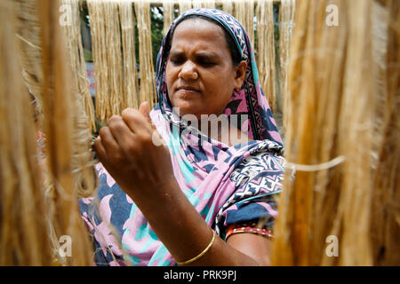 Una donna si asciuga le fibre di iuta a Modhukhali in Faridpur, Bangladesh. Foto Stock