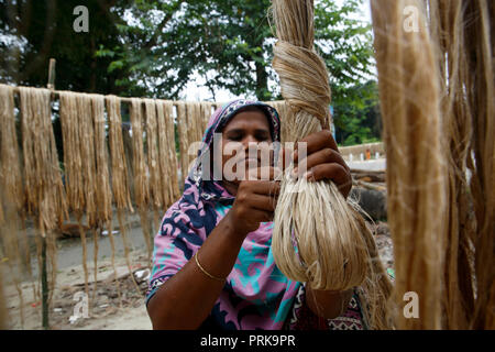 Una donna si asciuga le fibre di iuta a Modhukhali in Faridpur, Bangladesh. Foto Stock