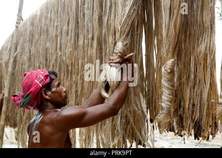 Un uomo si asciuga le fibre di iuta a Modhukhali in Faridpur, Bangladesh. Foto Stock