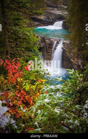 Johnston Creek è un affluente del fiume Bow in Canada Montagne Rocciose. Il torrente è situato nel Parco Nazionale di Banff. Foto Stock