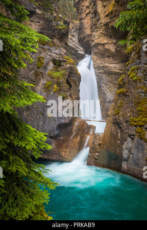 Johnston Creek è un affluente del fiume Bow in Canada Montagne Rocciose. Il torrente è situato nel Parco Nazionale di Banff. Foto Stock