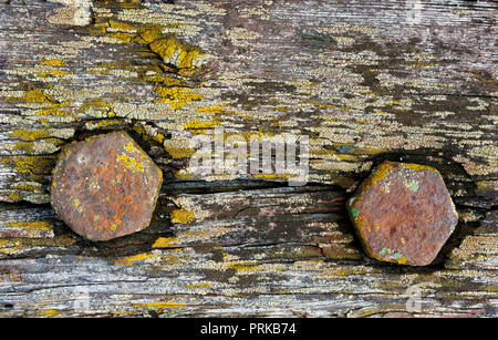 Gli sfondi e texture: due viti arrugginite nella vecchia weathered tavolato in legno Foto Stock