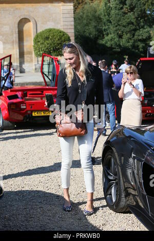 Jodie Kidd visto presso il Palazzo di Blenheim e Classic Supercar Show a giudicare la Pirelli il prestigio e la concorrenza delle prestazioni con: Jodie Kidd dove: Woodstock Oxfordshire, Regno Unito quando: 02 set 2018 Credit: Michael Wright/WENN.com Foto Stock