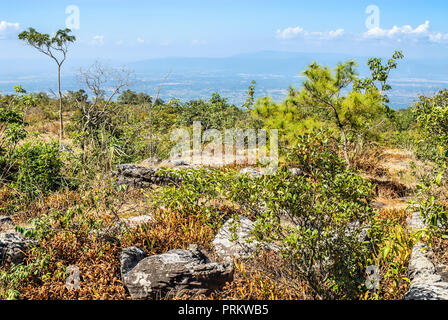 "Brocken campo Rock' alla Lan Hin Taek all'interno di Phu Hin Rong Kla National Park vicino a Phitsanulokb, Thailandia Foto Stock