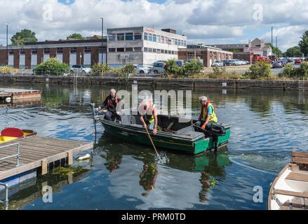 Elderley uomini in barca la raccolta rifiuti di acqua pulita in Chichester Canal a Chichester, West Sussex, in Inghilterra, Regno Unito. Foto Stock