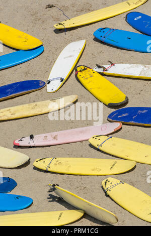 Riflettere il mondo del surf, tavole da surf e attività di navigazione / lifestyle a Newquay, Cornwall. Home di Boardmasters Festival. Foto Stock