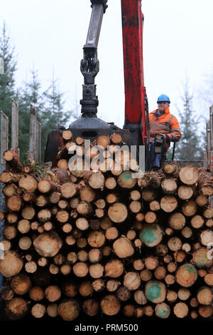 Per andare con la storia di Arthur Beesley. Data 8 febbraio 2018. Un appaltatore svolge harveshing registro presso il Castello Archdale vicino Balcas Timber Ltd, Ballinamallard, Enniskillen Co. Fermanagh, Irlanda del Nord. Foto/Paolo McErlane Foto Stock