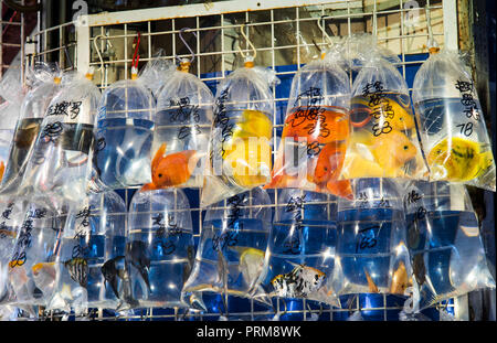 Goldfish Market in Hong Kong, Cina con prezzi scritto sui sacchetti Foto Stock