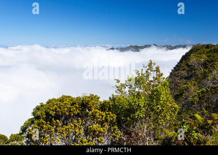 La famosa valle Kalalau a sinistra completamente coperto di nuvole in Kauai, Hawaii. Foto Stock