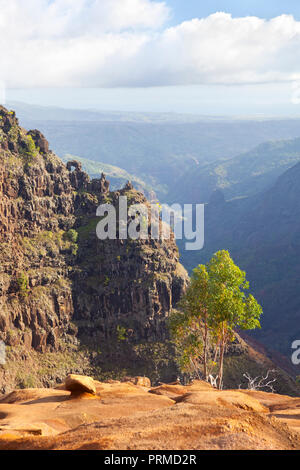 Il Canyon di Waimea e un piccolo arco naturale visto da un sentiero in Kauai, Hawaii. Foto Stock