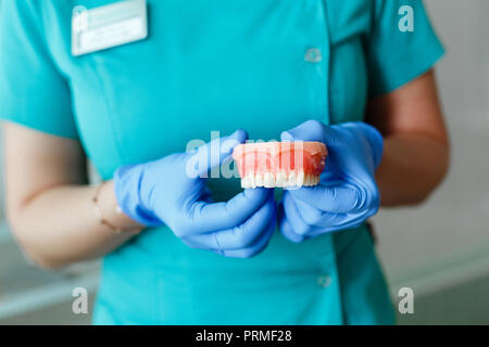 Giovani femmine dentista tenendo un denti di dentiera Foto Stock