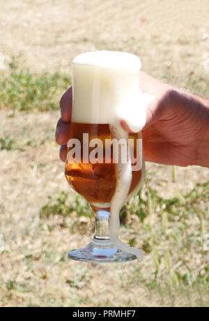 Man mano che tiene un bicchiere di birra fredda con la schiuma della birra drena dal vetro in un soleggiato e caldo giorno d'estate Foto Stock