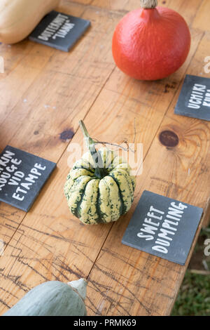 Gnocco dolce squash sul display a Daylesford Organic farm shop festival d'autunno. Daylesford, Cotswolds, Gloucestershire, Inghilterra Foto Stock