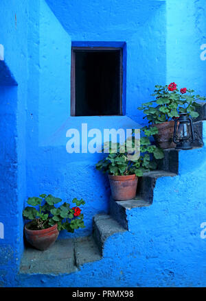 Impressionante vivid blue scala colorata con il fiore rosso di piantatrici nel monastero di Santa Catalina Arequipa, Perù Foto Stock