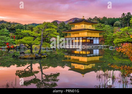 Kyoto, Giappone al Kinkaku-ji il tempio del Padiglione Dorato al tramonto. Foto Stock