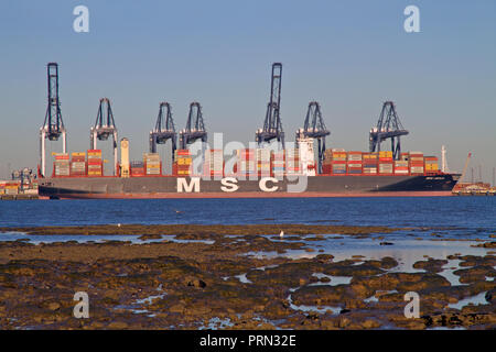 Un contenitore grande nave MSC Mirja ormeggiata nel porto di Felixstowe nel Suffolk. Foto Stock