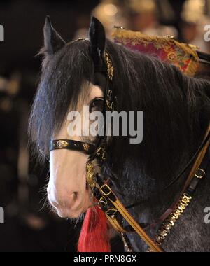 NEC Birmingham, UK. 3° OTT 2018. La famiglia di cavalleria reggimento montato musical ride. Cavallo dell'anno mostra (HOYS). Il National Exhibition Centre (NEC). Birmingham. Regno Unito. 03/10/2018. Credito: Sport In immagini/Alamy Live News Foto Stock
