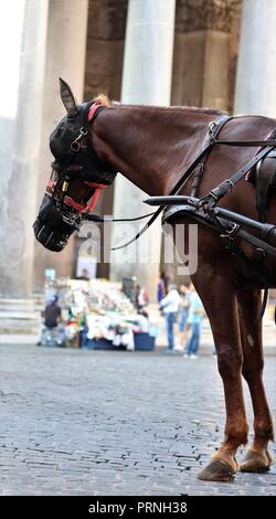 Roma. Xxi Sep, 2018. Foto scattata il 7 settembre 21, 2018 mostra un carrello cavallo in attesa per i passeggeri di fronte al Pantheon di Roma, Italia. I cavalli sono stati presenti sulle strade della capitale italiana risalente alla prima ancora che dice la leggenda la città fu fondata 2,771 anni fa. Ma una nuova regola che possono entrare in vigore potrebbe cambiare. Per andare con funzione: la lunga storia dei cavalli su Roma le strade possono essere nel capitolo finale Credito: Christa Leste-Lasserre/Xinhua/Alamy Live News Foto Stock