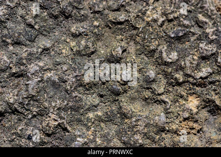 Macro closeup di pietra/ rock pavimentazione testurizzata con verde, grigio e yellew flecks Foto Stock