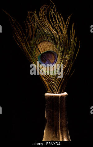 Multi colore piuma di Pavone in oro jar/vaso nero su sfondo isolato Foto Stock